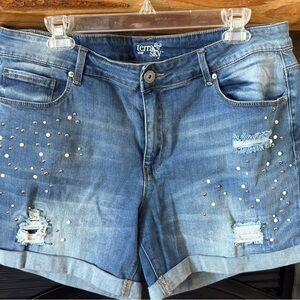 Terra & Sky Embellished Blue Jean Shorts